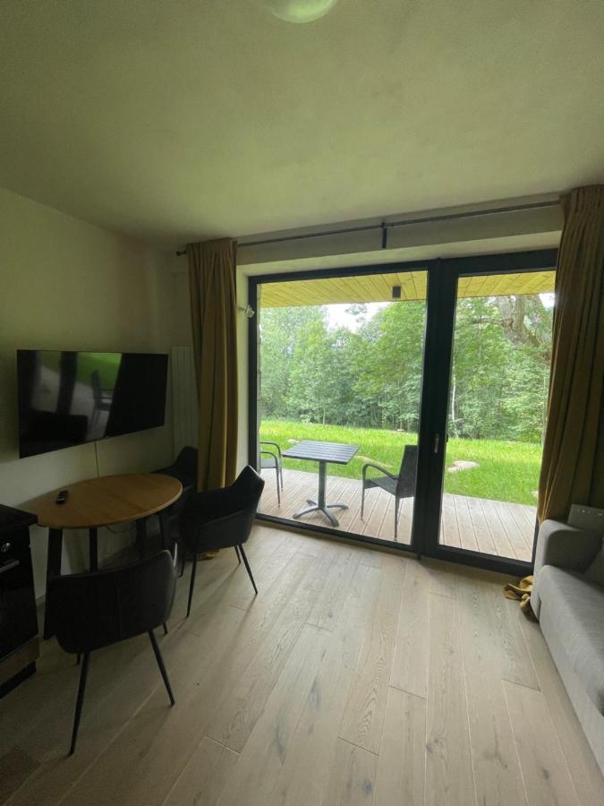 Apartamento Apartmán pod Jasanem Hojsova Stráž Brčálník Železná Ruda Exterior foto