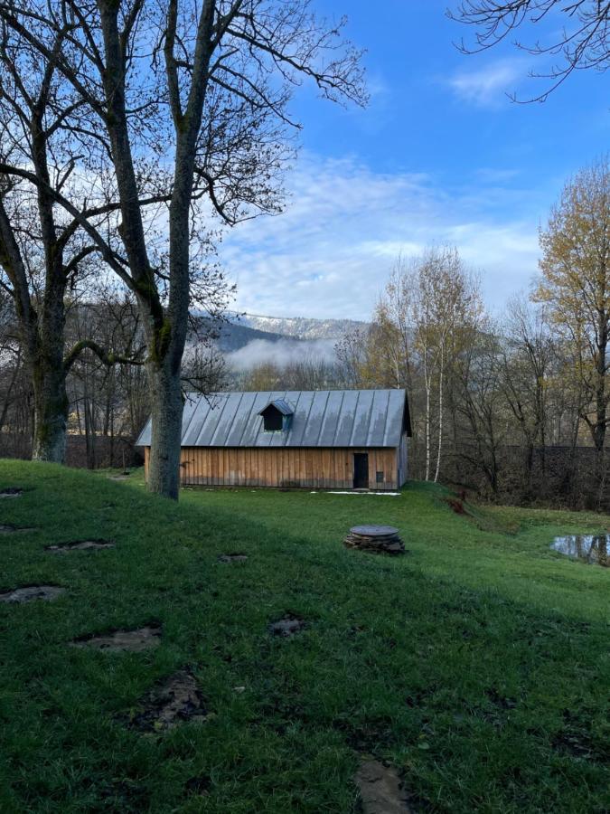 Apartamento Apartmán pod Jasanem Hojsova Stráž Brčálník Železná Ruda Exterior foto