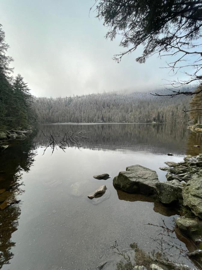 Apartamento Apartmán pod Jasanem Hojsova Stráž Brčálník Železná Ruda Exterior foto