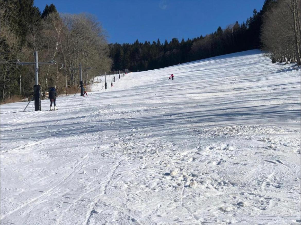 Apartamento Apartmán pod Jasanem Hojsova Stráž Brčálník Železná Ruda Exterior foto
