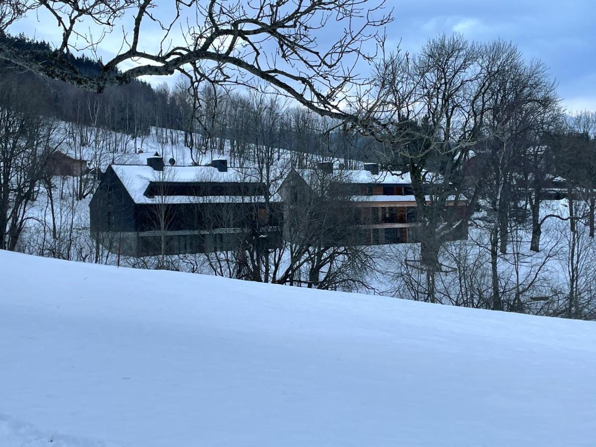 Apartamento Apartmán pod Jasanem Hojsova Stráž Brčálník Železná Ruda Exterior foto