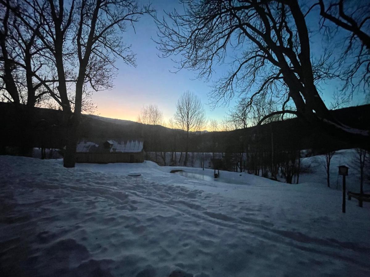 Apartamento Apartmán pod Jasanem Hojsova Stráž Brčálník Železná Ruda Exterior foto